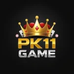 PK11 Game Download